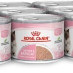 Feline Health Nutrition Mother & Babycat Mousse Wet Food cans -12X195g