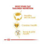 Feline Breed Nutrition Ragdoll 2 Kg - Image 3