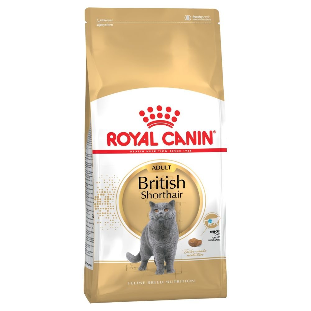 Royal_Canin_British_Shorthair_Adult_-1__46920 Feline Breed Nutrition British Shorthair Kitten 2 KG - Image 1
