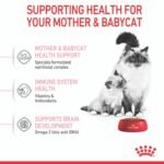 Feline Health Nutrition Mother and Babycat 2 KG - Image 3