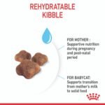 Feline Health Nutrition Mother and Babycat 2 KG - Image 4