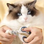 Nail Clipper - Image 4