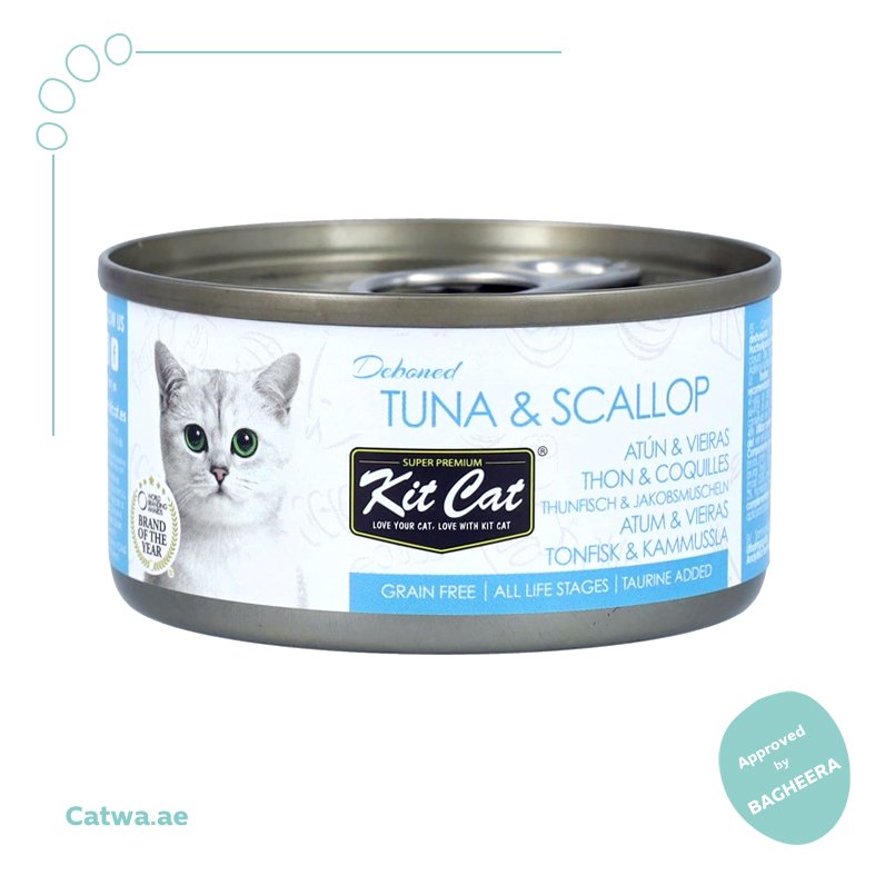 49 Kit Cat Grain-Free Wet Cat Food Tuna & Scallop 80g - Image 1