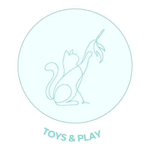 Toys Play